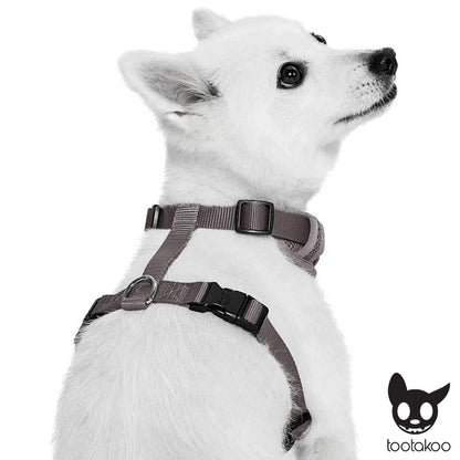 H DOG HARNESS Logo