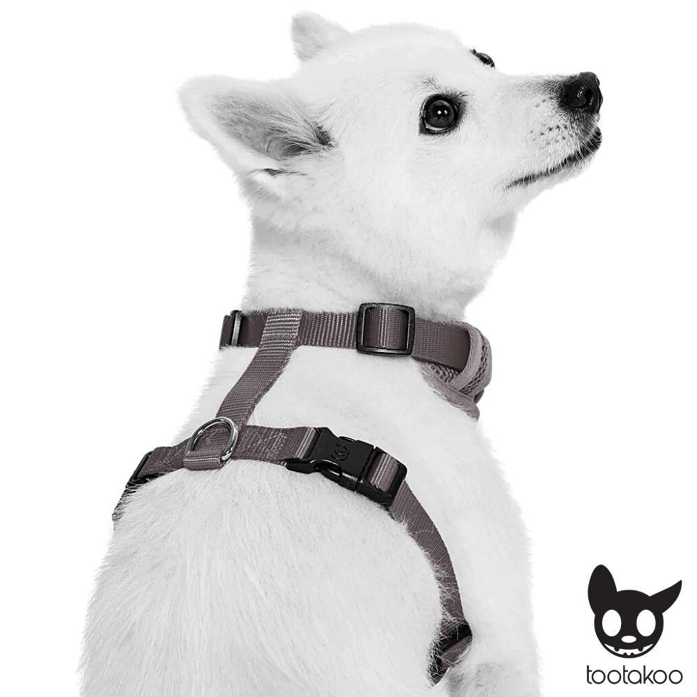 Top paw store signature dog harness